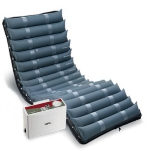 Domus 2+